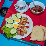Pansion Pirat 3* بيتريتْشاني