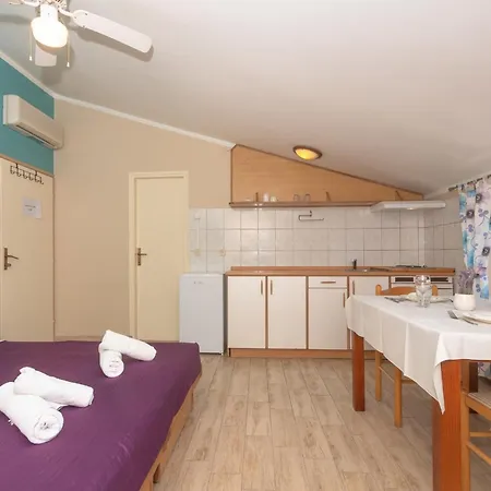 בית הארחה Pansion Pirat פטרצ'אנה