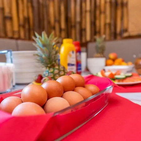 Pansion Pirat בית הארחה 3*